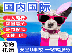阿拉尔塔里木航空空运国际宠物托运 【国